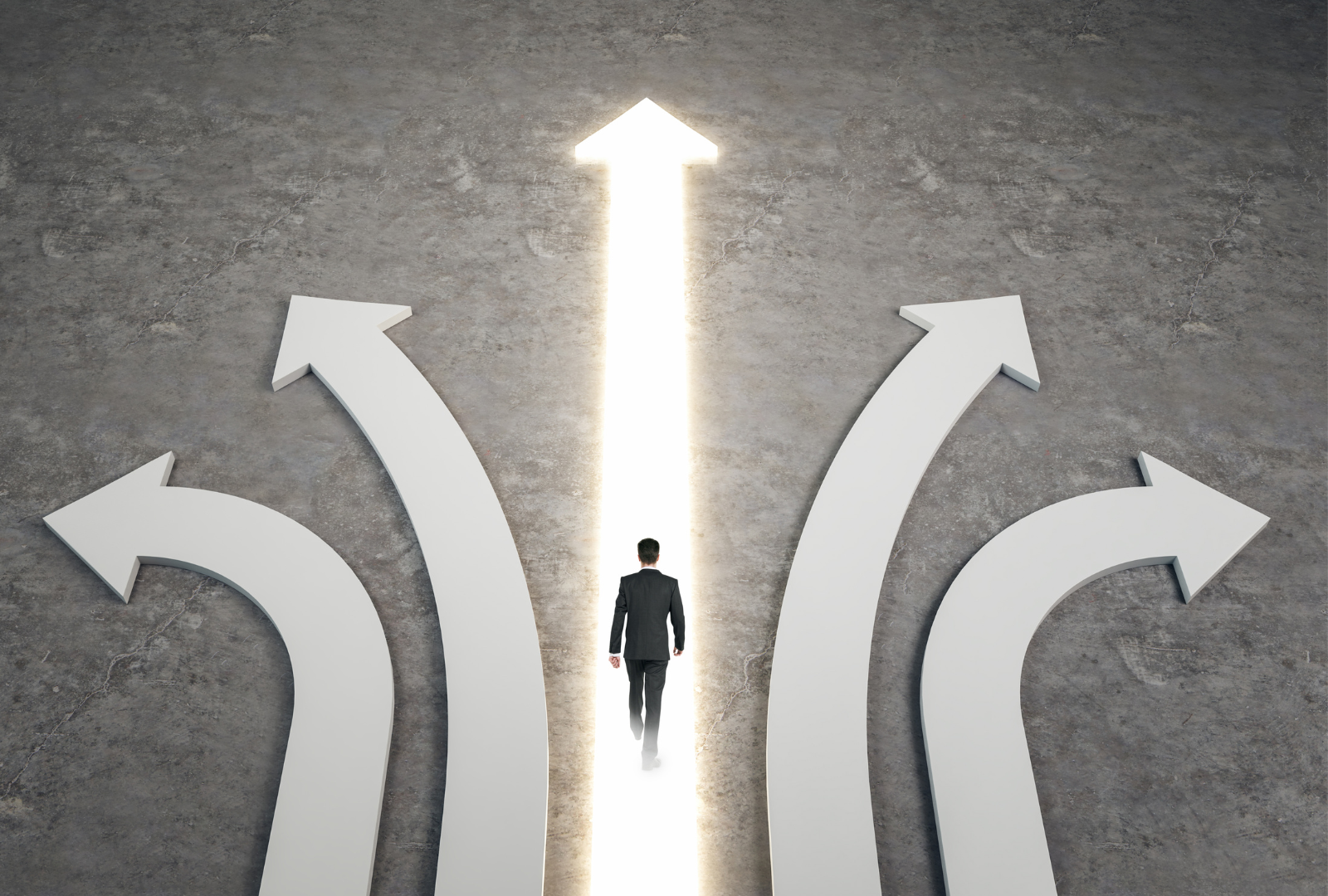 Exploring the Different Paths in Management: HR, Marketing, Finance & More